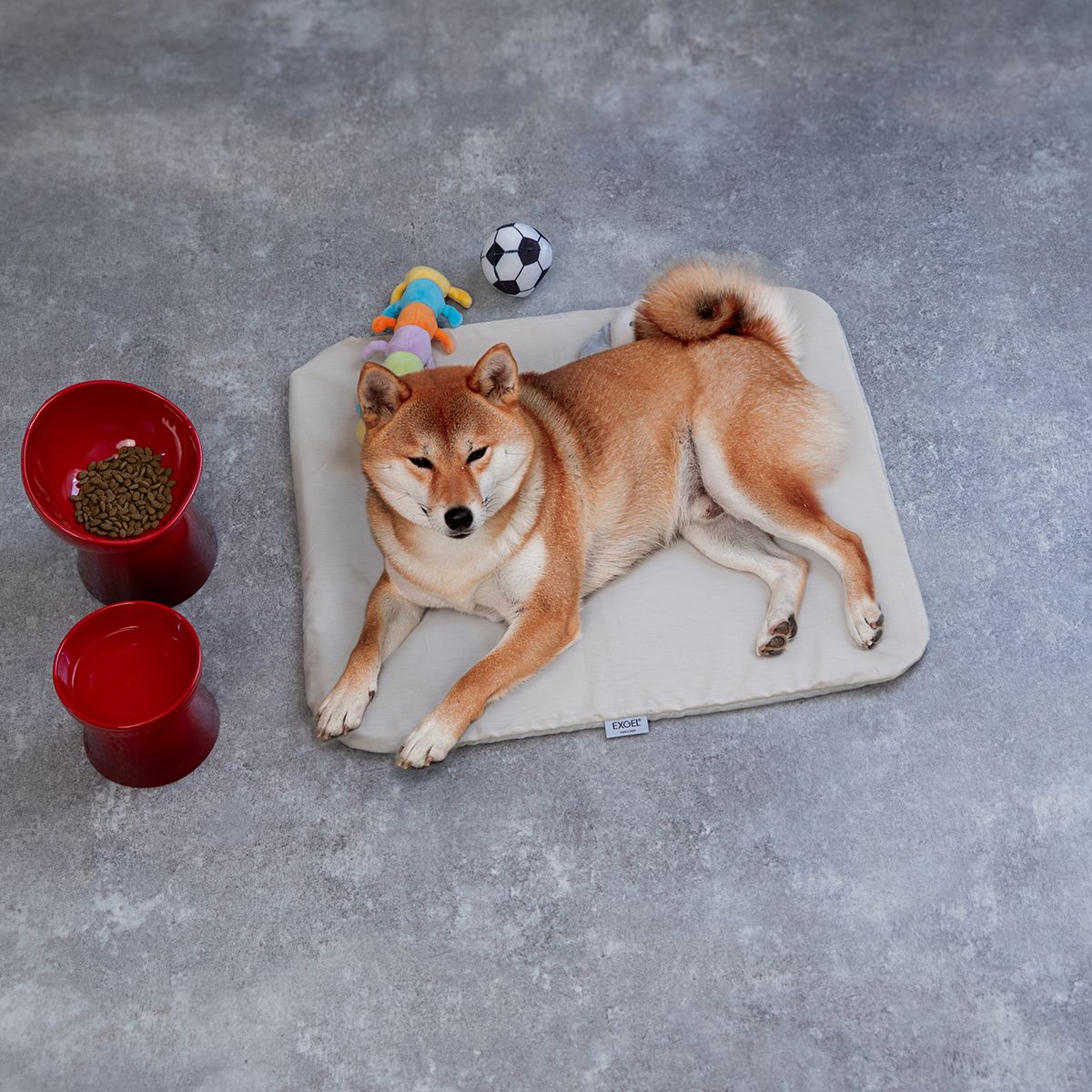 ピンク